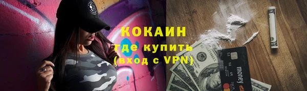 сатива Пролетарск