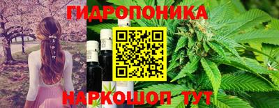 хмурый Апшеронск