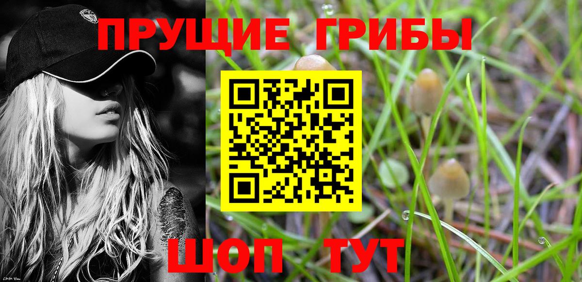 Галлюциногенные грибы прущие грибы Кызыл