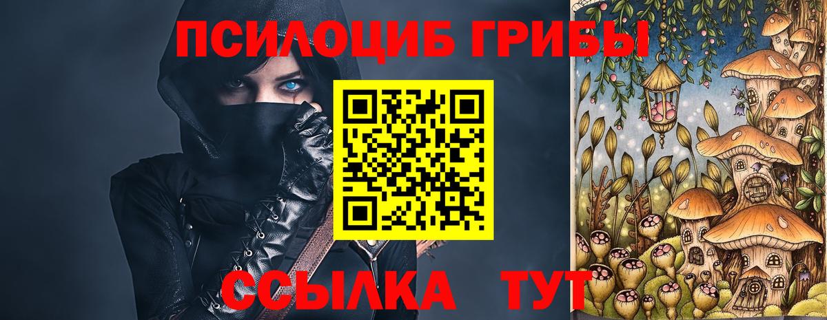 Кызыл  Галлюциногенные грибы Psilocybine cubensis  Вход с VPN 