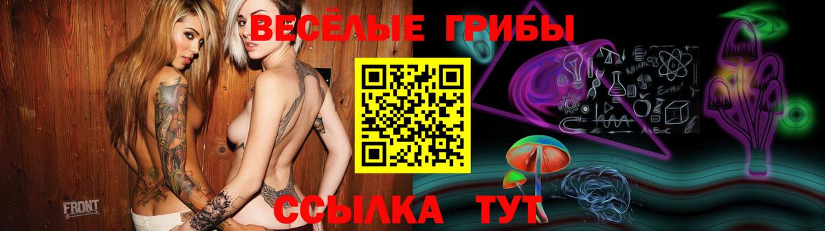 Псилоцибиновые грибы мицелий  Кызыл 